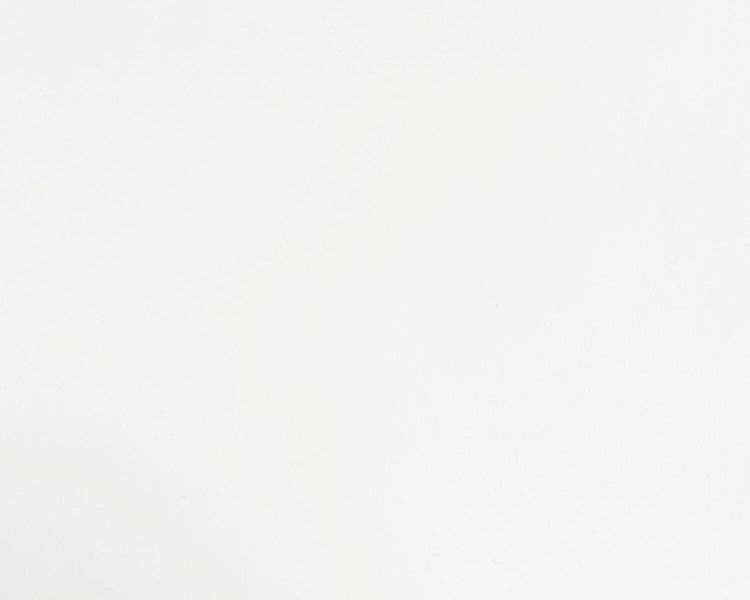 Perfect Digital Matt White Polyester 50mic SRA3 (320x450mm)